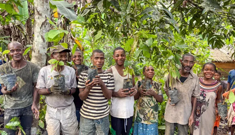 Bagyeli Indigenous community members holding cocoa plants received from AWF through FEDEC funding for planting in their farms alongside their rubber plantations. 