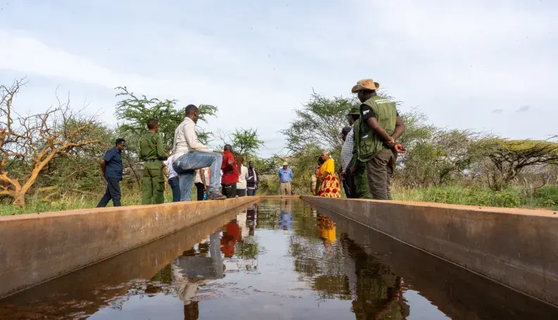 Water provided by a borehole pump in tsavo, kenya.
