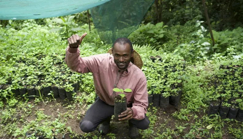 Ernest Maghanga, Chairperson of the Vuria Community Forest Association, at a tree nursery. 