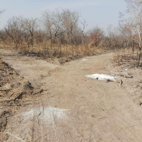 Faro road