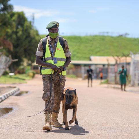 Canine and handler team