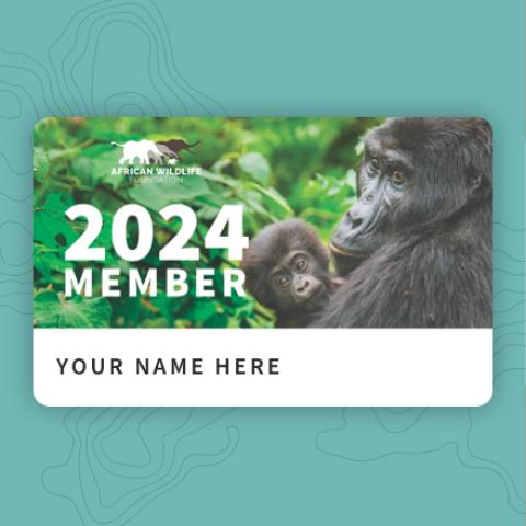 2024 Member (Gorilla) YOUR NAME HERE