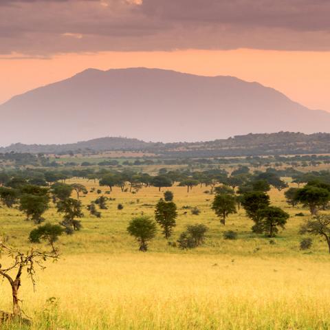 A landscape featuring a mountain in the background.
