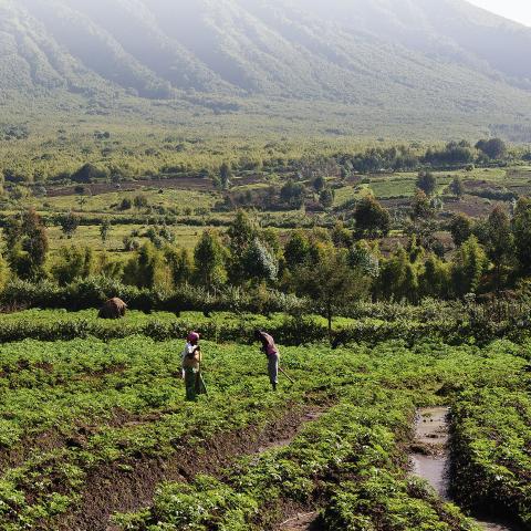 AWF Rwanda Program Report Cover