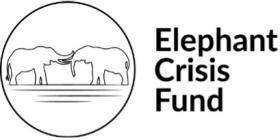 Logo of Elephant Crisis Fund