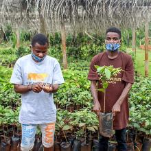 Photo of non-timber forest product exchange program between Dja and Campo