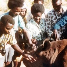 Photo of Wildlife Clubs of Kenya members in the 1960s