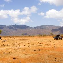 Dry landscape in Tsavo