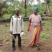 Cassava farmers in DRC