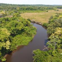 Aerial photo of river flowing through tropical forest in wildlife-rich landscape in northern Democratic Republic of Congo