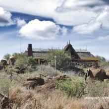 Elephants at Satao Elerai Lodge in Kenya's Amboseli ecosystem