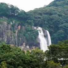 Kilombero Valley forest landscape and waterfall