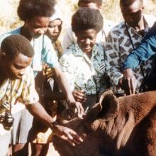 Photo of Wildlife Clubs of Kenya members in the 1960s