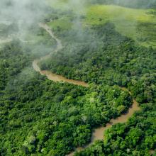 Aerial shot of Congo Basin rainforest