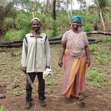 Cassava farmers in DRC