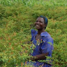 A farmer sits among her chili farm