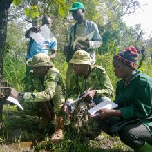 Ecoguards collecting data during Willdlife Survey
