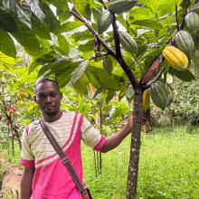 Zamo Yves standing in his 3.5 hectare cocoa farm in Nnemeyong in Southern Cameroon