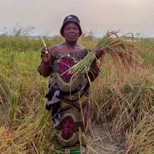 Aminatou Koffa stands in her rice field after the harvest.