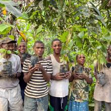 Bagyeli Indigenous community members holding cocoa plants received from AWF through FEDEC funding for planting in their farms alongside their rubber plantations. 