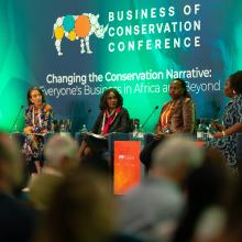 Panelists of the chat: Investing in the Nature and Climate Economy: From Theory to Practice – Developing viable, scalable solutions that meet investor requirements.