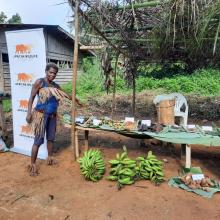 A Bagyeli Indigenous woman displays medicinal plants and harvested crops.
