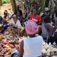 Members of the Lamuka association peel cassava together for flour production in Bili, DRC.
