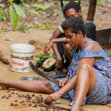 The forest serves as a source of food and medicine to the Indigenous community in Nyamabande, Campo Ma'an landscape, South Cameroon. © Vanilla Boi Studios 