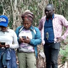 After a training, eco-guards from the Lomako-Yokokala Faunal Reserve verify and analyze deforestation alerts detected through the Global Forest Watch platform. © OGF