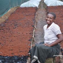 Image of a woman in agriculture on a farm in Tanzania.