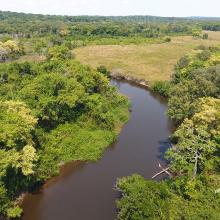 Aerial photo of river flowing through tropical forest in wildlife-rich landscape in northern Democratic Republic of Congo