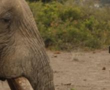 Sustainable Tourism