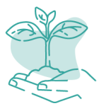 seedling icon