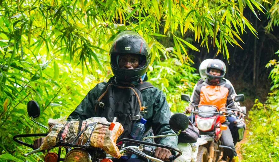 Jeancy Luaka - Motorcycle Rider navigates through the dense Lomako-Yokokala Faunal Reserve