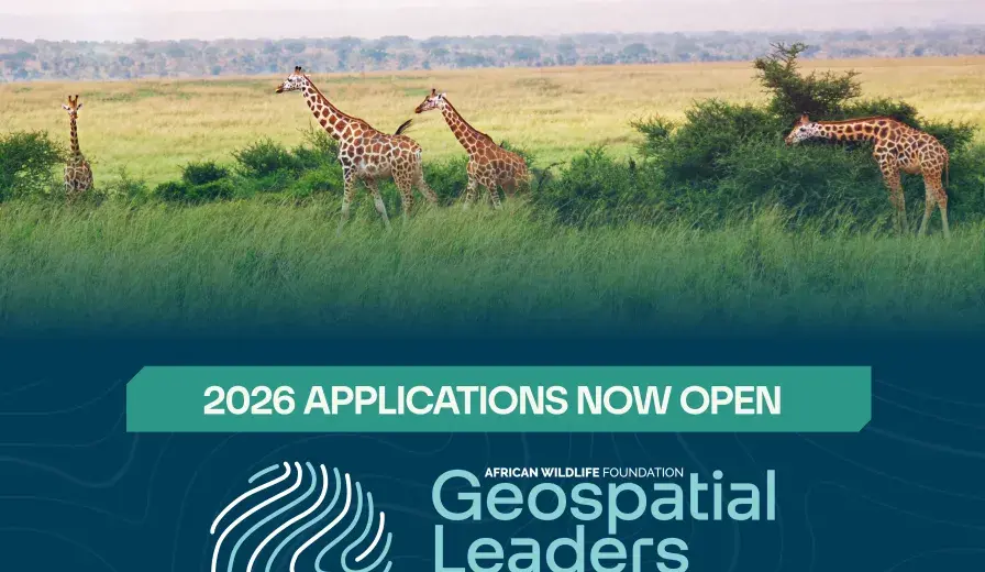 AWF GIS Fellowship Application Poster