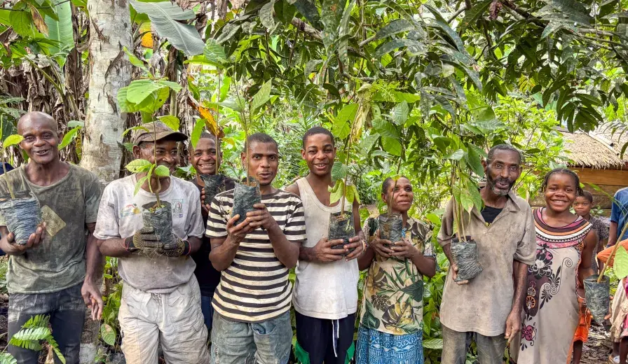 Bagyeli Indigenous community members holding cocoa plants received from AWF through FEDEC funding for planting in their farms alongside their rubber plantations. 