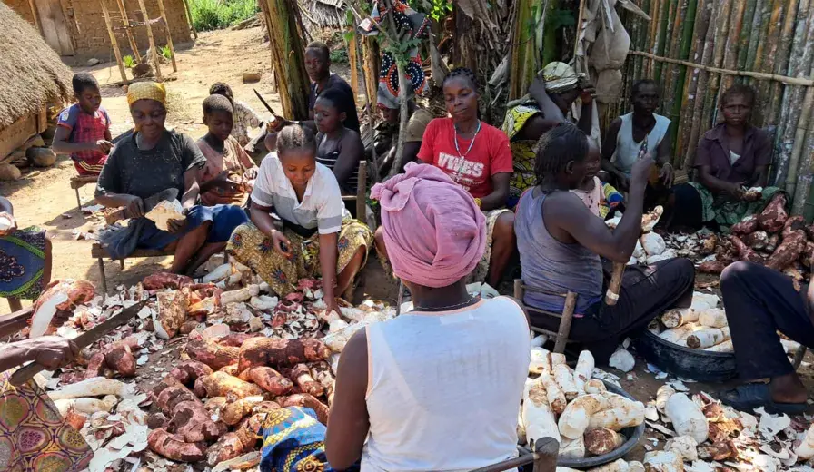 Women working together in the Bili-Uélé landscape, DRC.