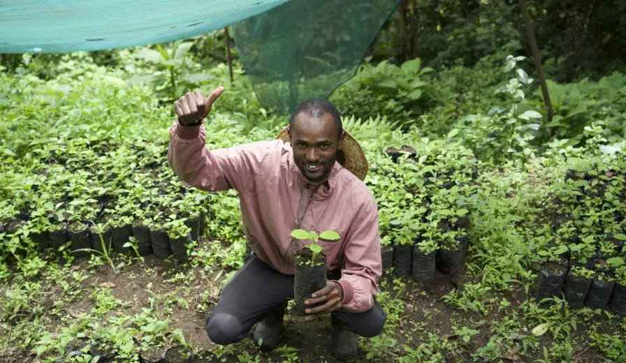Ernest Maghanga, Chairperson of the Vuria Community Forest Association, at a tree nursery. 