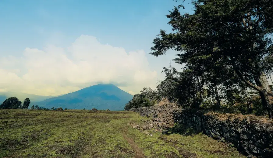 A view of Volcanoes National Park, found in northwestern Rwanda.