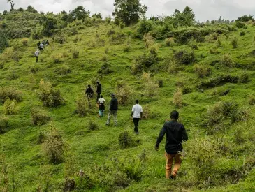 People walking in a green landscape.