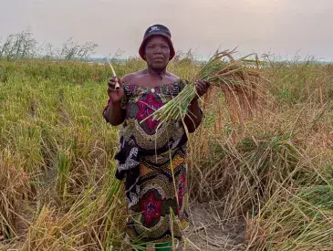 Aminatou Koffa stands in her rice field after the harvest.