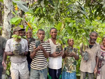 Bagyeli Indigenous community members holding cocoa plants received from AWF through FEDEC funding for planting in their farms alongside their rubber plantations. 