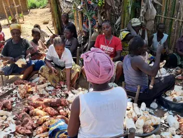 Women working together in the Bili-Uélé landscape, DRC.