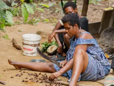 The forest serves as a source of food and medicine to the Indigenous community in Nyamabande, Campo Ma'an landscape, South Cameroon. © Vanilla Boi Studios 