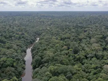 The Dja Faunal Reserve in Cameroon.