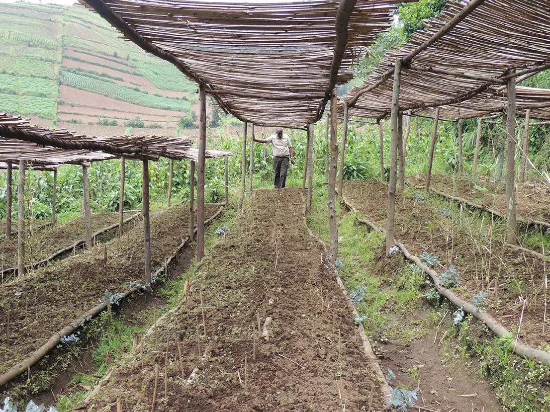 Conservation Agriculture Anna Behm Masozera IGCP