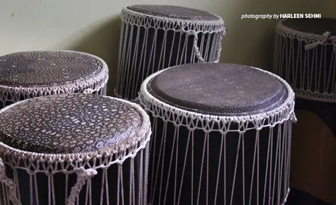 Python skin covered drums seized as wildlife contraband