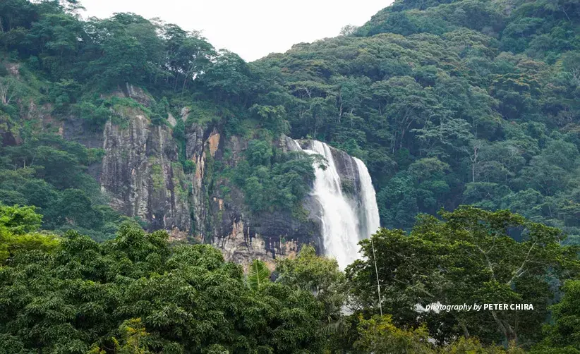 Kilombero Valley forest landscape and waterfall