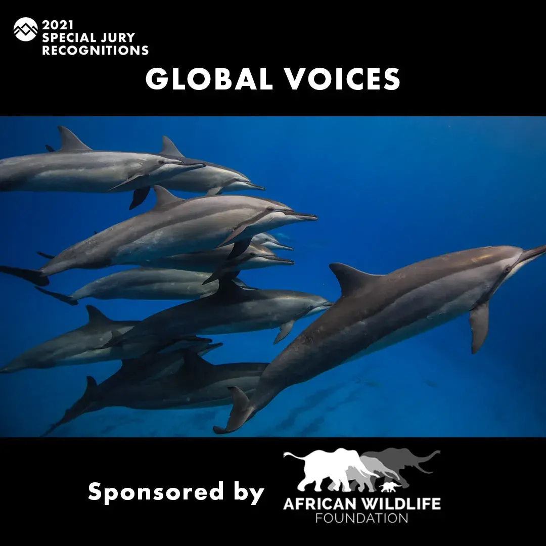 AWF sponsors Jackson Wild Global Voices Award