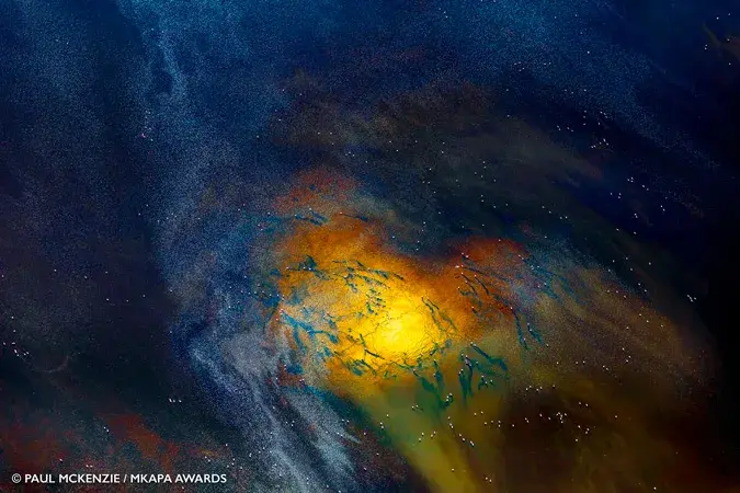 Mkapa Awards Paul Mckenzie Winner Art In Nature Galaxy Flamingos